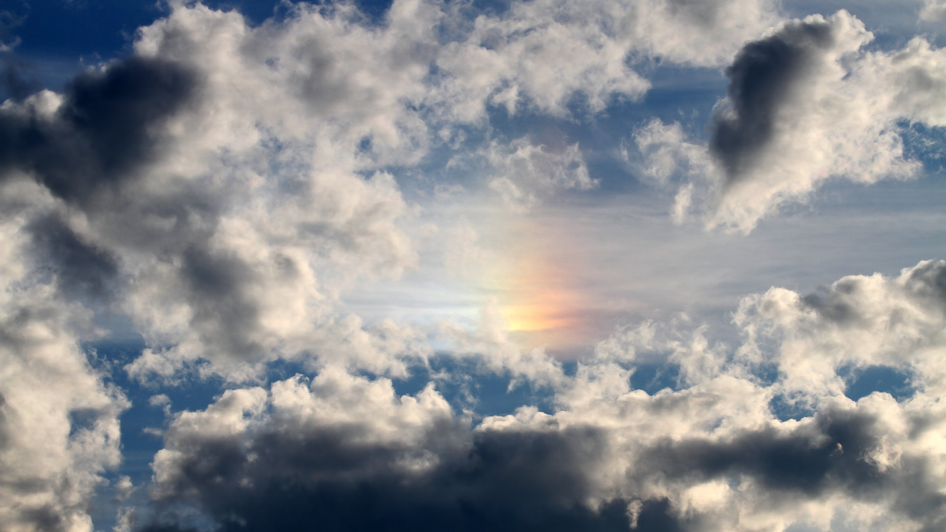 九游登录中心-运动行为对大学生情绪调节能力影响机制研究，运动对大学生生理机能的影响