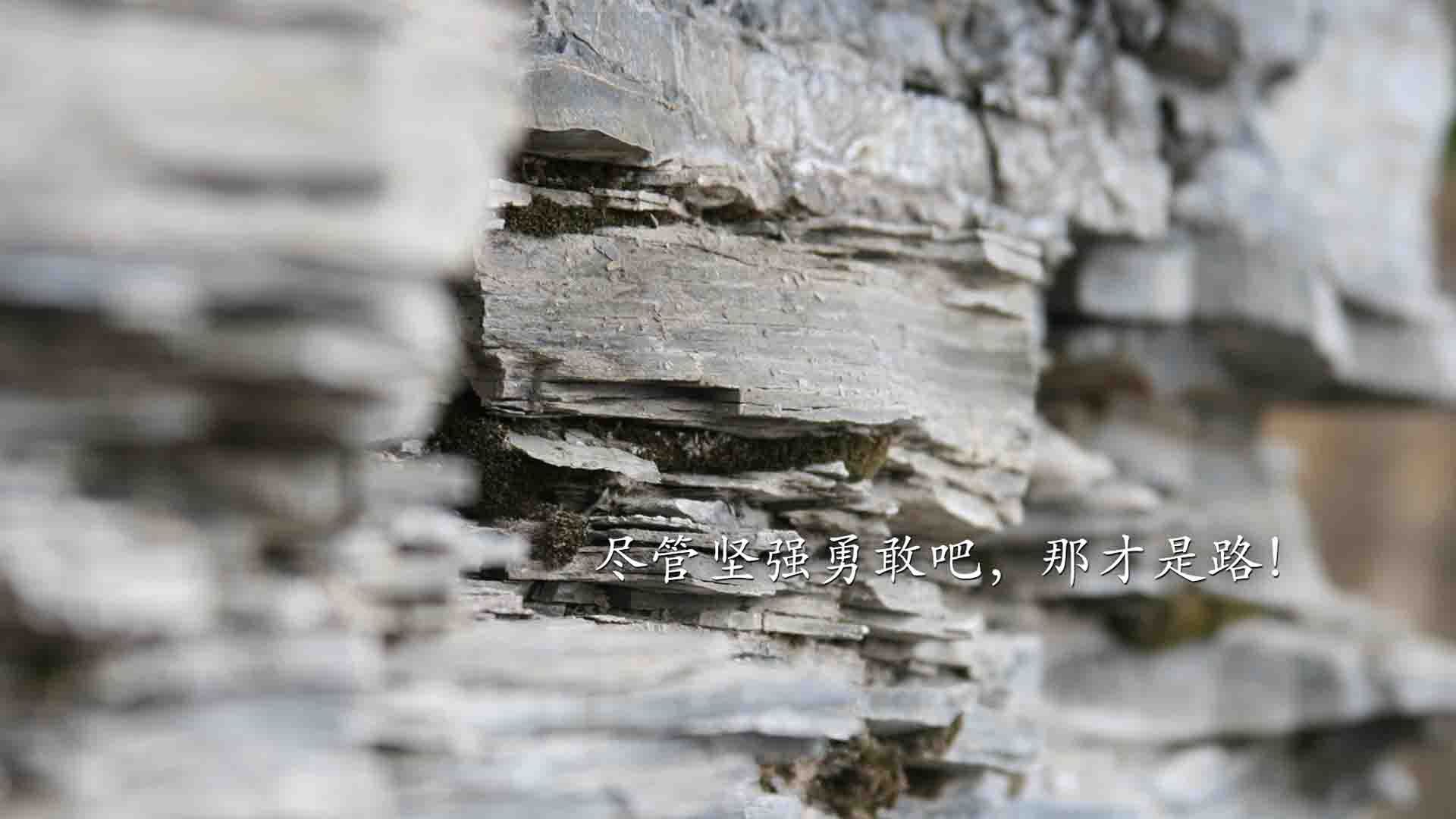 九游网页版官网入口-中国三人篮球男队加强快速传导 球风更灵活，篮球三人传球视频