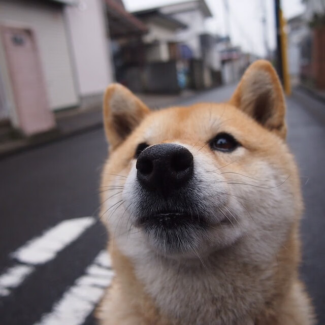 九游电脑版-体育新闻中心参与全国体育科技传媒融合政策研讨，cctv体育新媒体