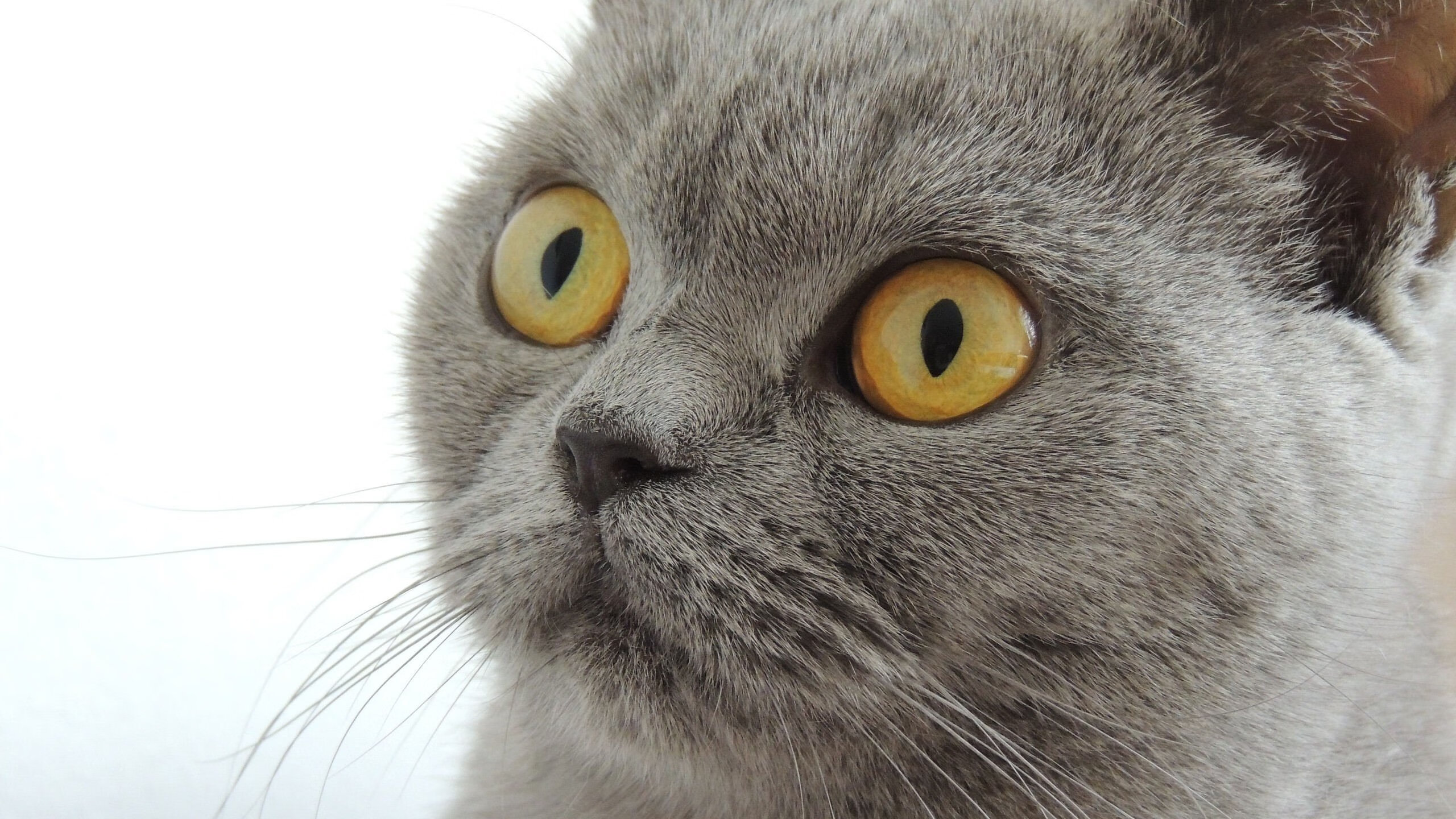 九游APP官网-教练激励机制引入数据排名系统,教练kpi