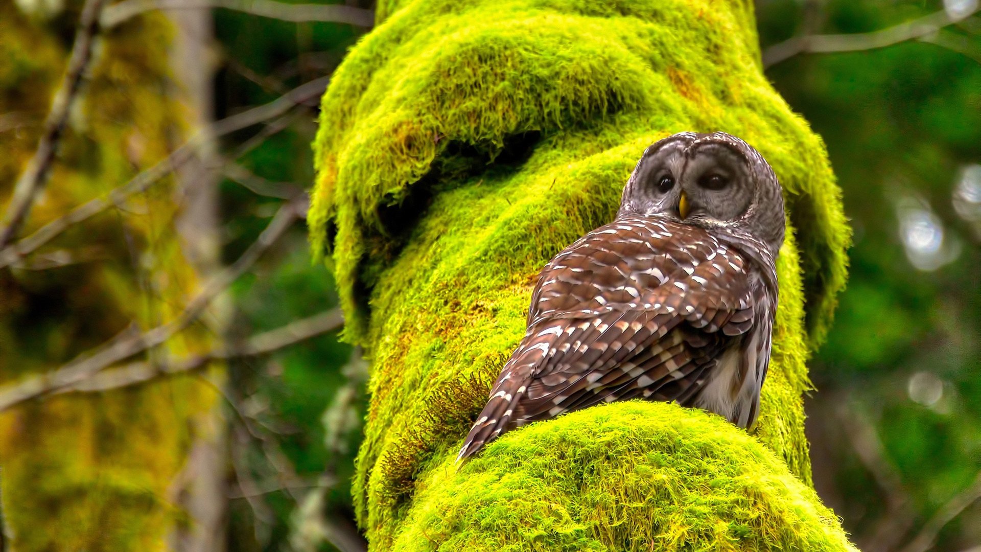 九游APP官网-教练激励机制引入数据排名系统,教练kpi