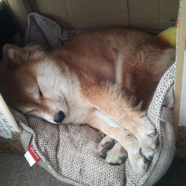 九游娱乐-高校电子竞技专项班学生就业渠道拓宽,电子竞技专业招生条件