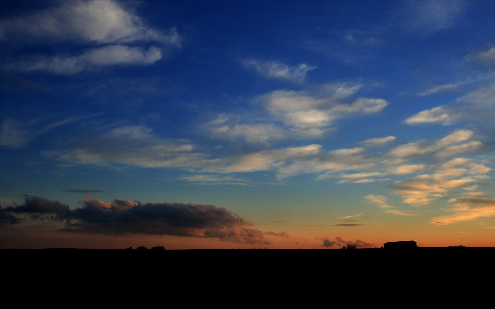 JiuyouAPP下载-中小学篮球开展篮球文化宣传普及运动知识,篮球宣传活动