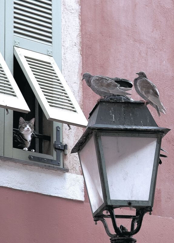 九游娱乐中心-全国青少年篮球训练营发布训练课表与器械清单，青少年篮球培训学校