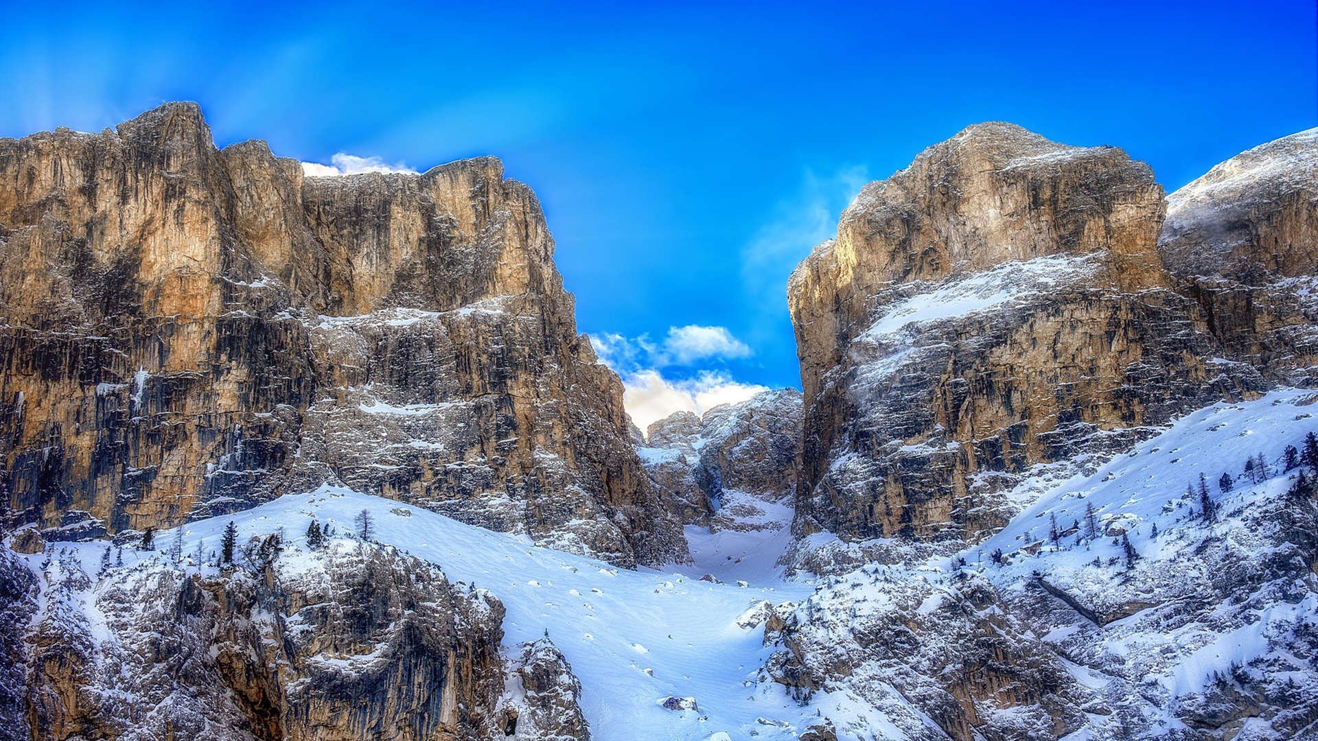 九游app下载中心-南非橄榄球进入新纪元：从青训到国际舞台的全方位布局，南非橄榄球图片