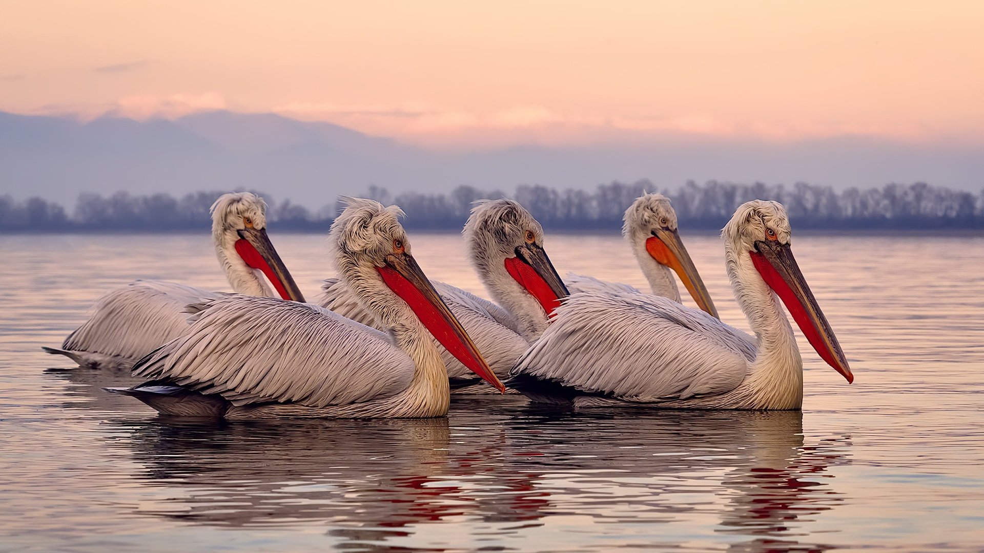 -后防多次关键解围化解险情稳定军心展现老将价值,后防的意思