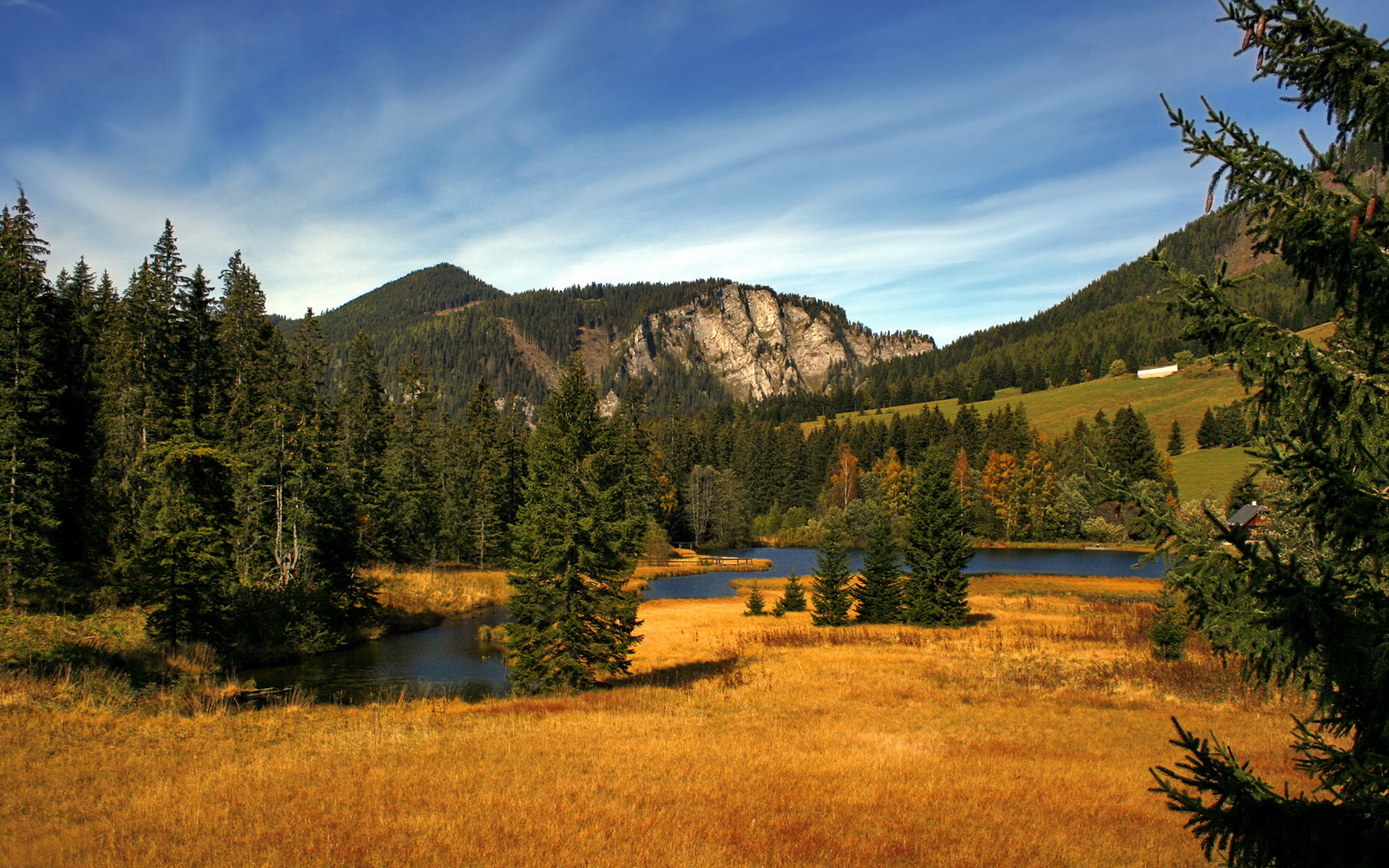 九游(jiuyou)官方网站-弗朗索瓦·斯图尔特：反击的发起者，带领南非队突破敌方防线，弗朗索瓦德尔萨特