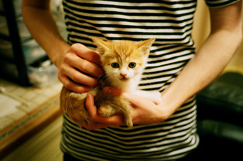 九游sports-篮网宣布轮换阵容调整加强防守强度,篮网更换