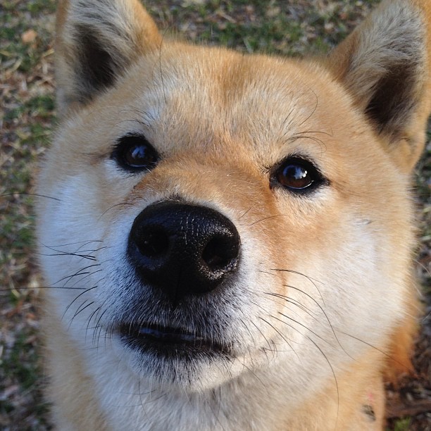 九游jiuyou-羽毛球新晋选手表现抢眼备受期待,今年羽毛球选手